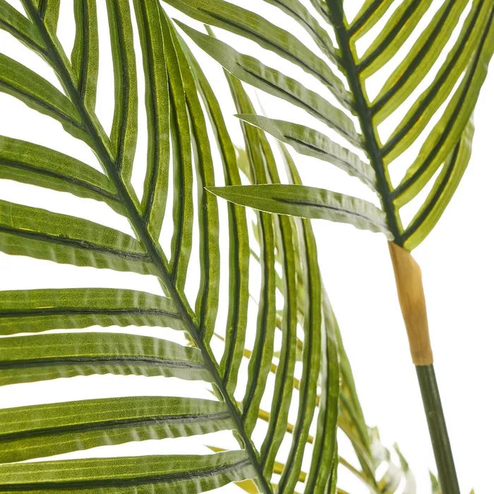 PLANTA PALMERA 160
